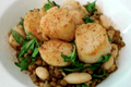Seared Scallops Over Arugula Lentils And Bean Salad